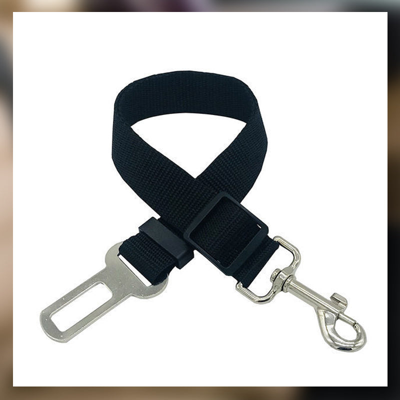 Auton turvavyö lemmikkieläimille