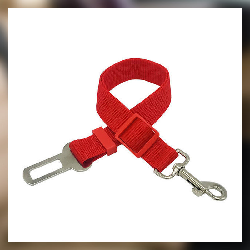 Auton turvavyö lemmikkieläimille