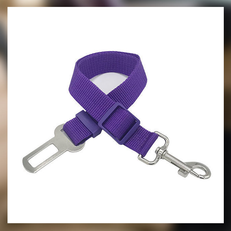 Auton turvavyö lemmikkieläimille