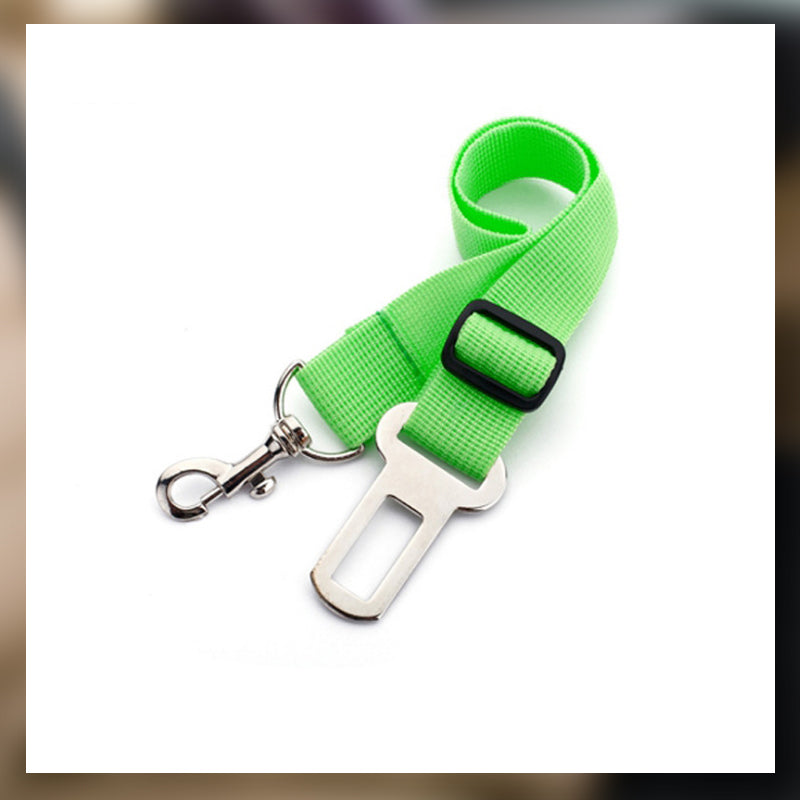 Auton turvavyö lemmikkieläimille