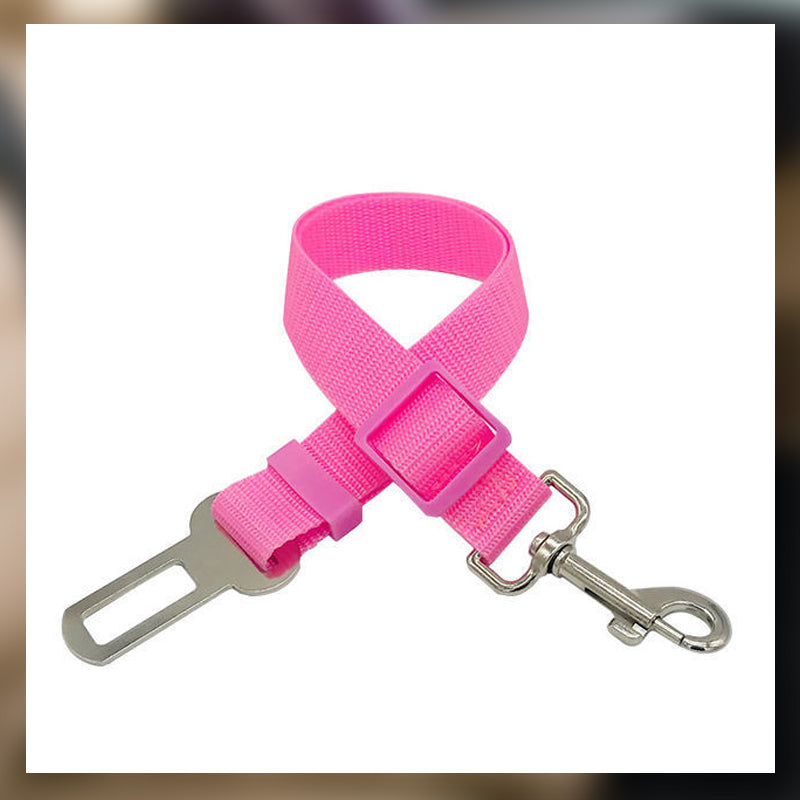 Auton turvavyö lemmikkieläimille