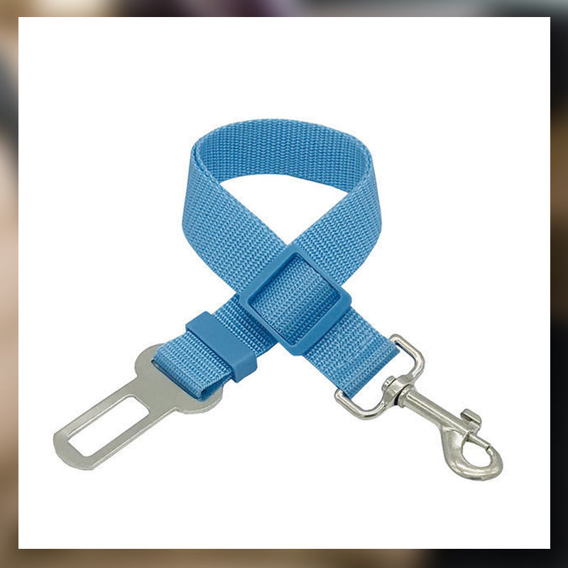 Auton turvavyö lemmikkieläimille