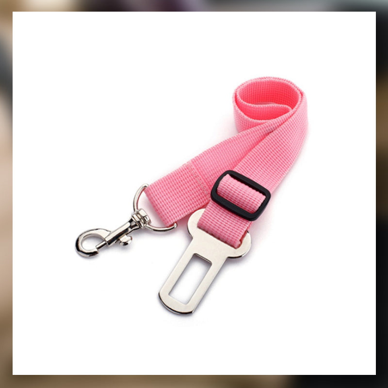 Auton turvavyö lemmikkieläimille