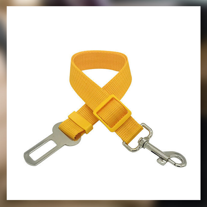 Auton turvavyö lemmikkieläimille