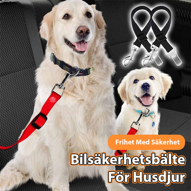 Auton turvavyö lemmikkieläimille