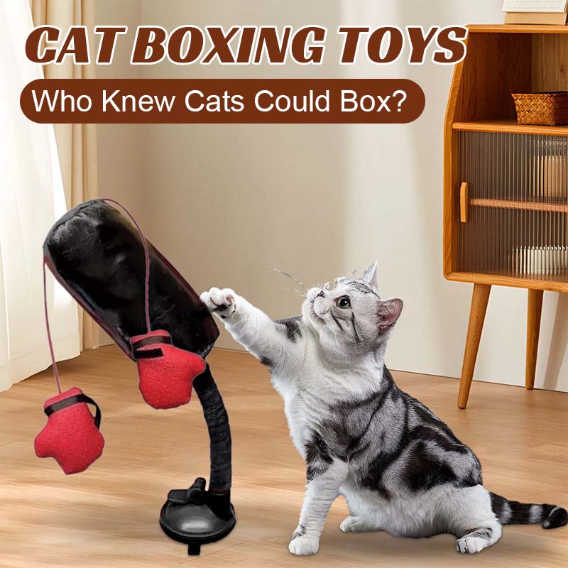 Cat Boxing Toys