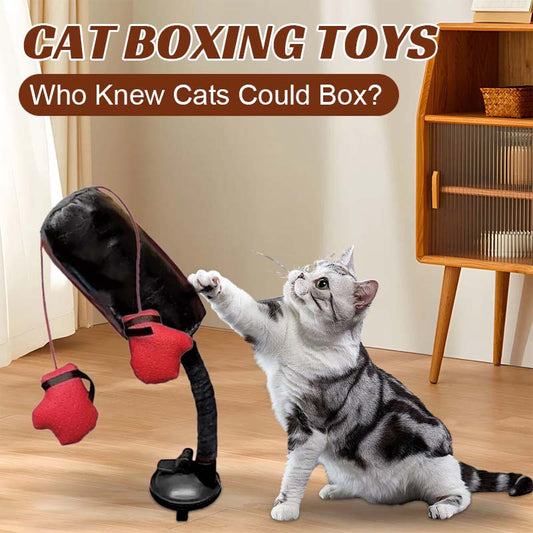 Cat Boxing Toys