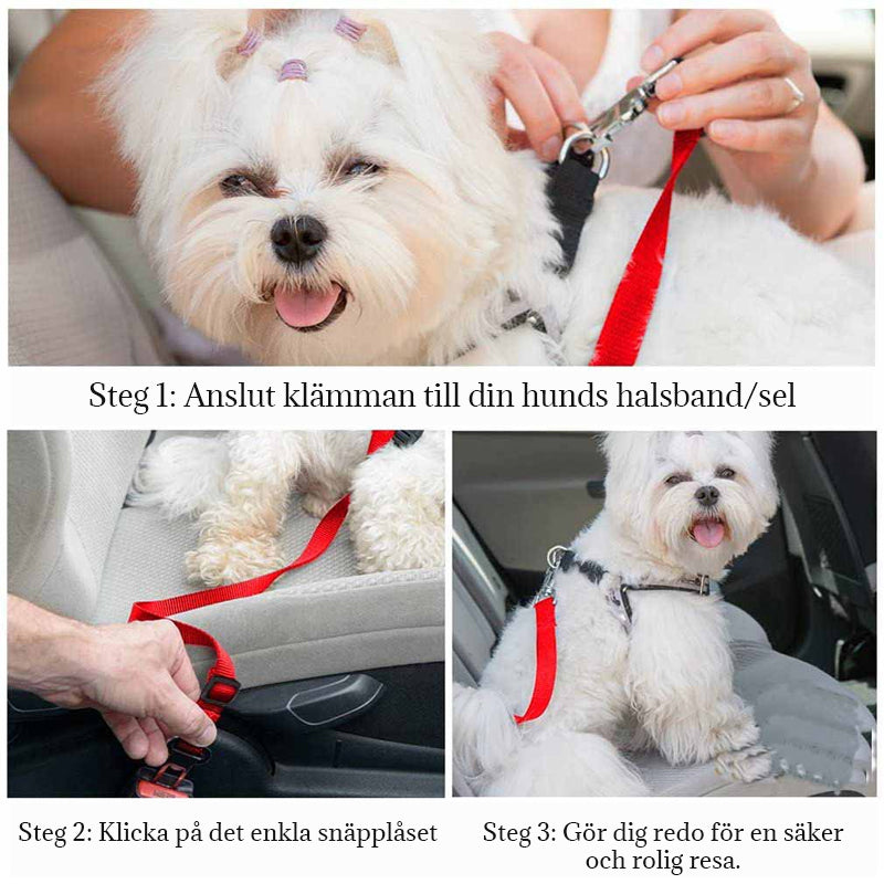 Auton turvavyö lemmikkieläimille