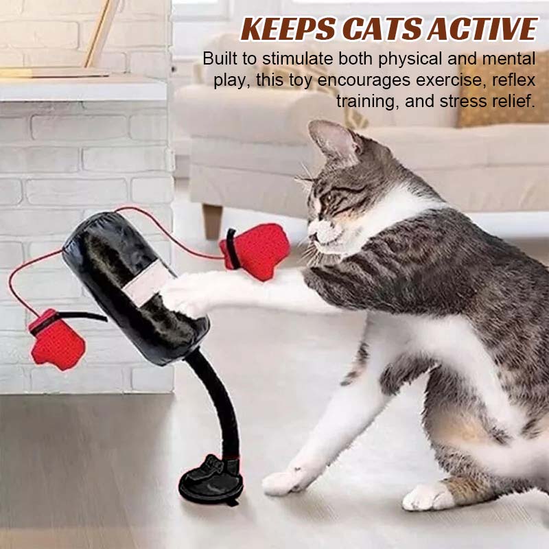 Cat Boxing Toys