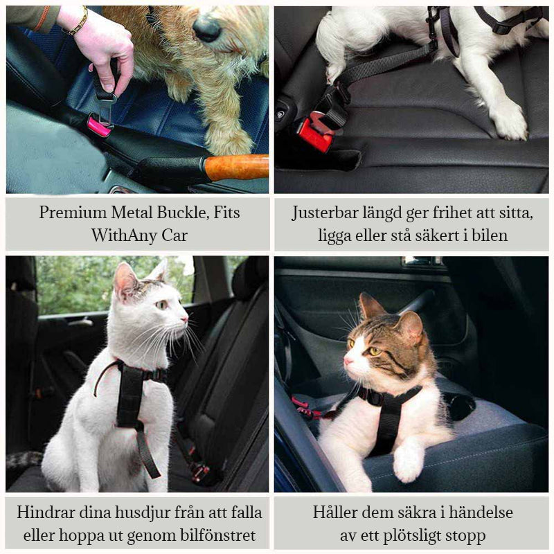 Auton turvavyö lemmikkieläimille