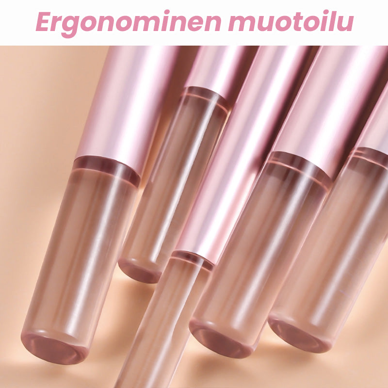 Pieni Meikkiharjasetti Sivellinkotelolla