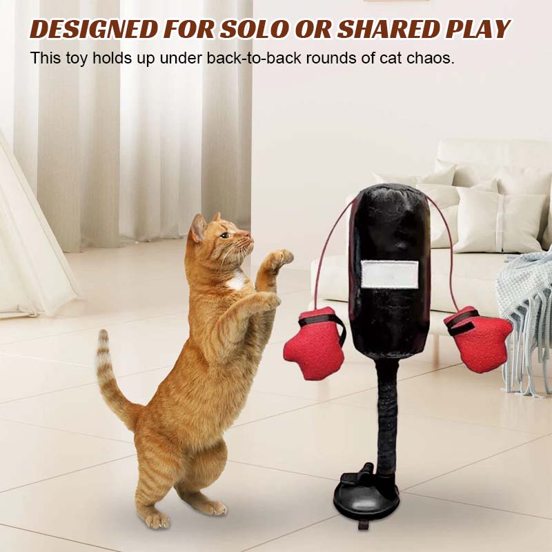 Cat Boxing Toys