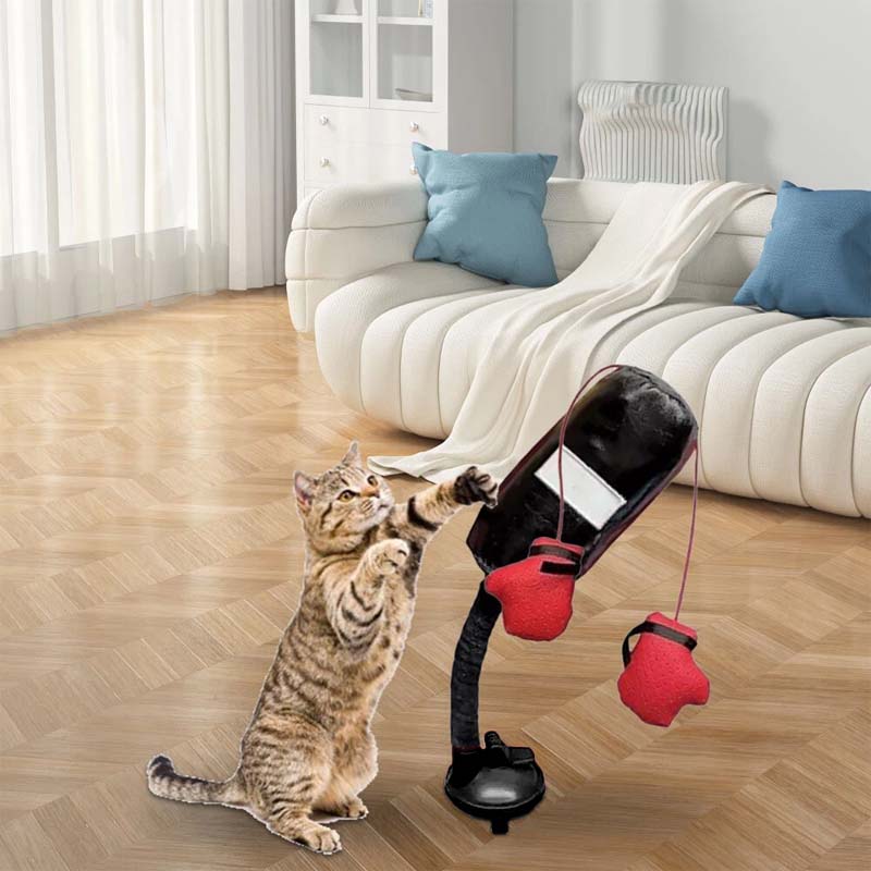Cat Boxing Toys