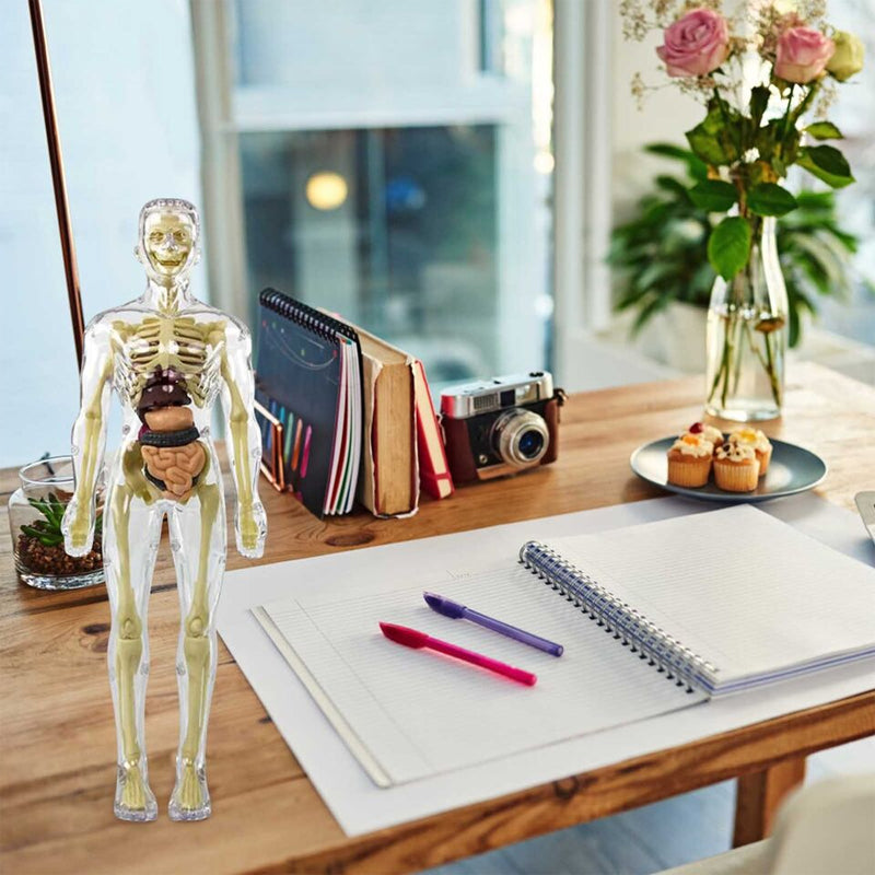 Irrotettava ihmisen lelumalli