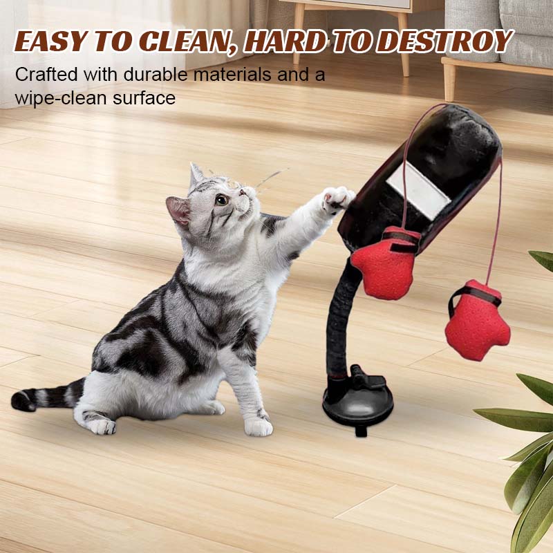 Cat Boxing Toys