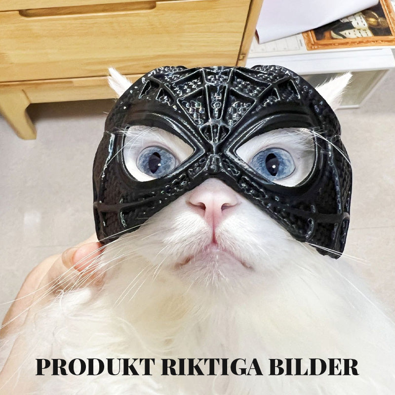 Hämähäkinseittityylinen kissanaamio🐾🕷️