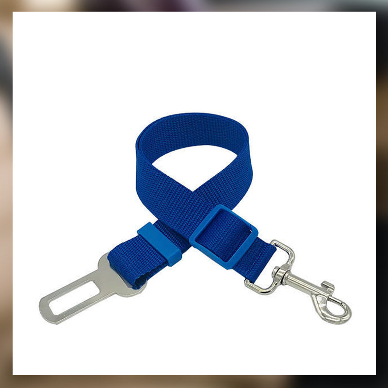 Auton turvavyö lemmikkieläimille